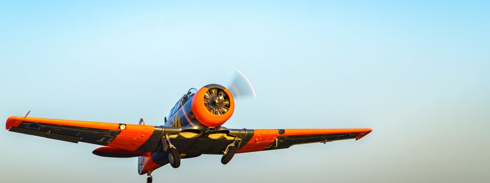 T-6 Texan South African Air Force Harvard Picture
